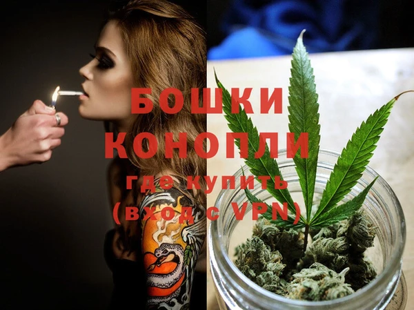 винт Богданович