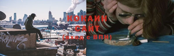 винт Богданович