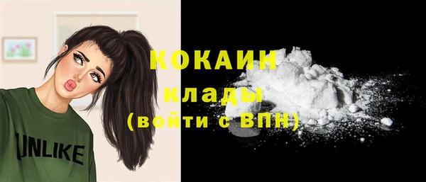 винт Богданович